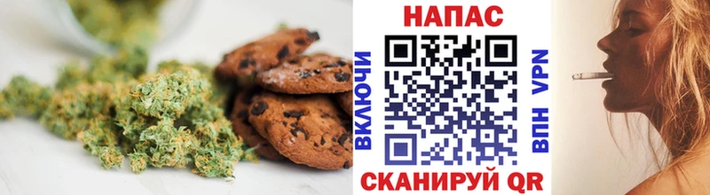 OMG маркетплейс  закладки  Щёлкино  Canna-Cookies конопля 