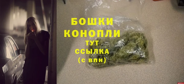 индика Осинники