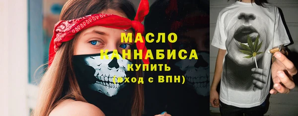 индика Осинники
