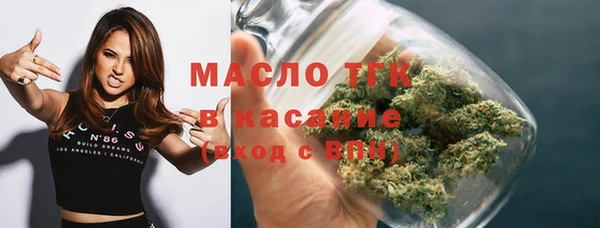 индика Осинники