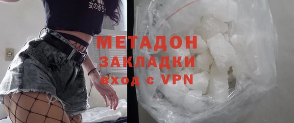 индика Осинники