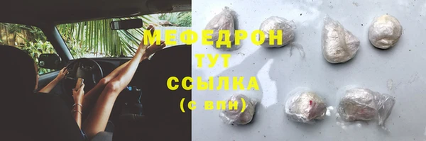 индика Осинники