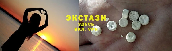 индика Осинники