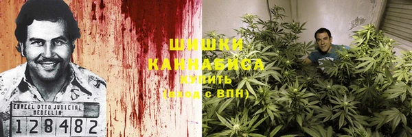 индика Осинники