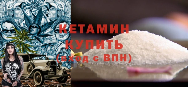 индика Осинники