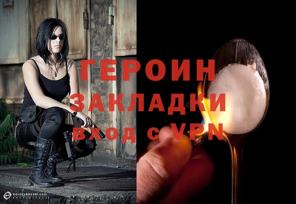 индика Осинники