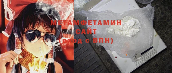 индика Осинники