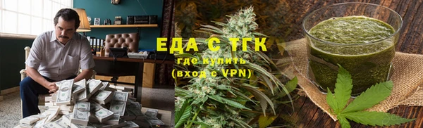 индика Осинники