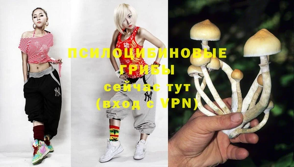 мяу мяу мука Остров