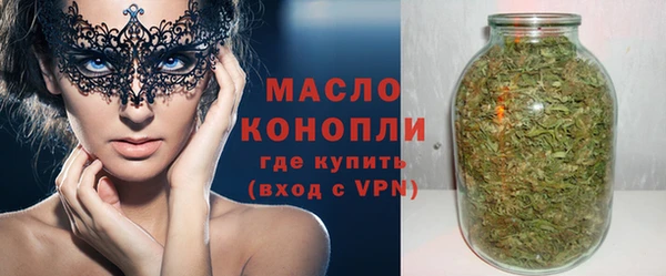 индика Осинники