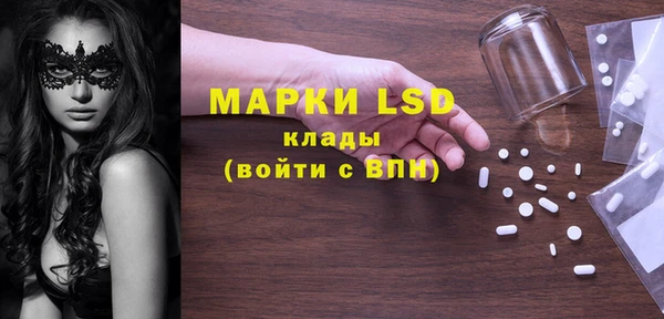 индика Осинники