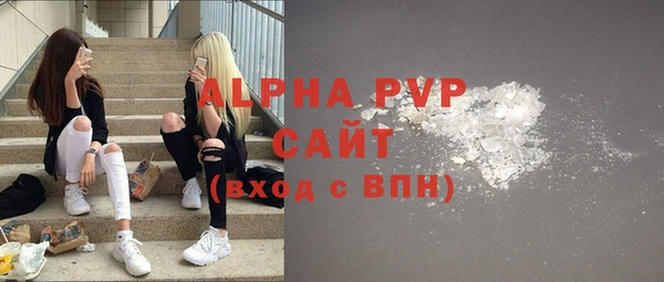 индика Осинники